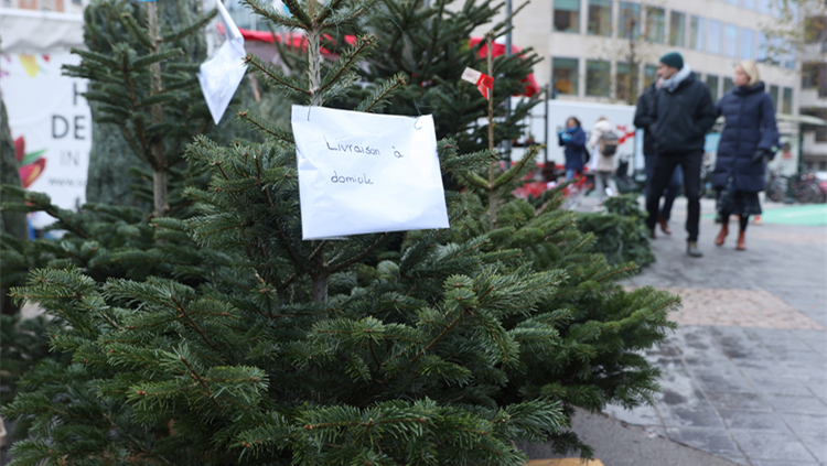 歐盟批準12億歐元援助計劃支持雲(yún)計算及邊緣計算