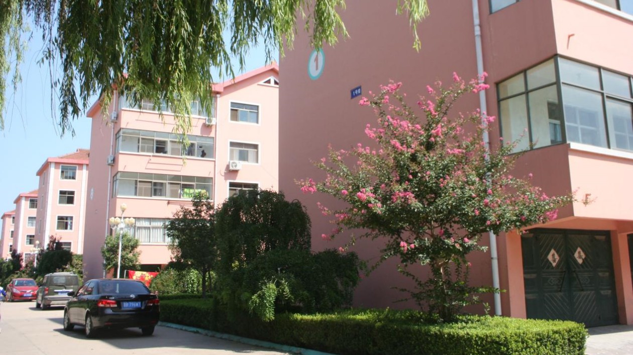 拓展「萊西經(jīng)驗(yàn)」 蹚出群眾共富路