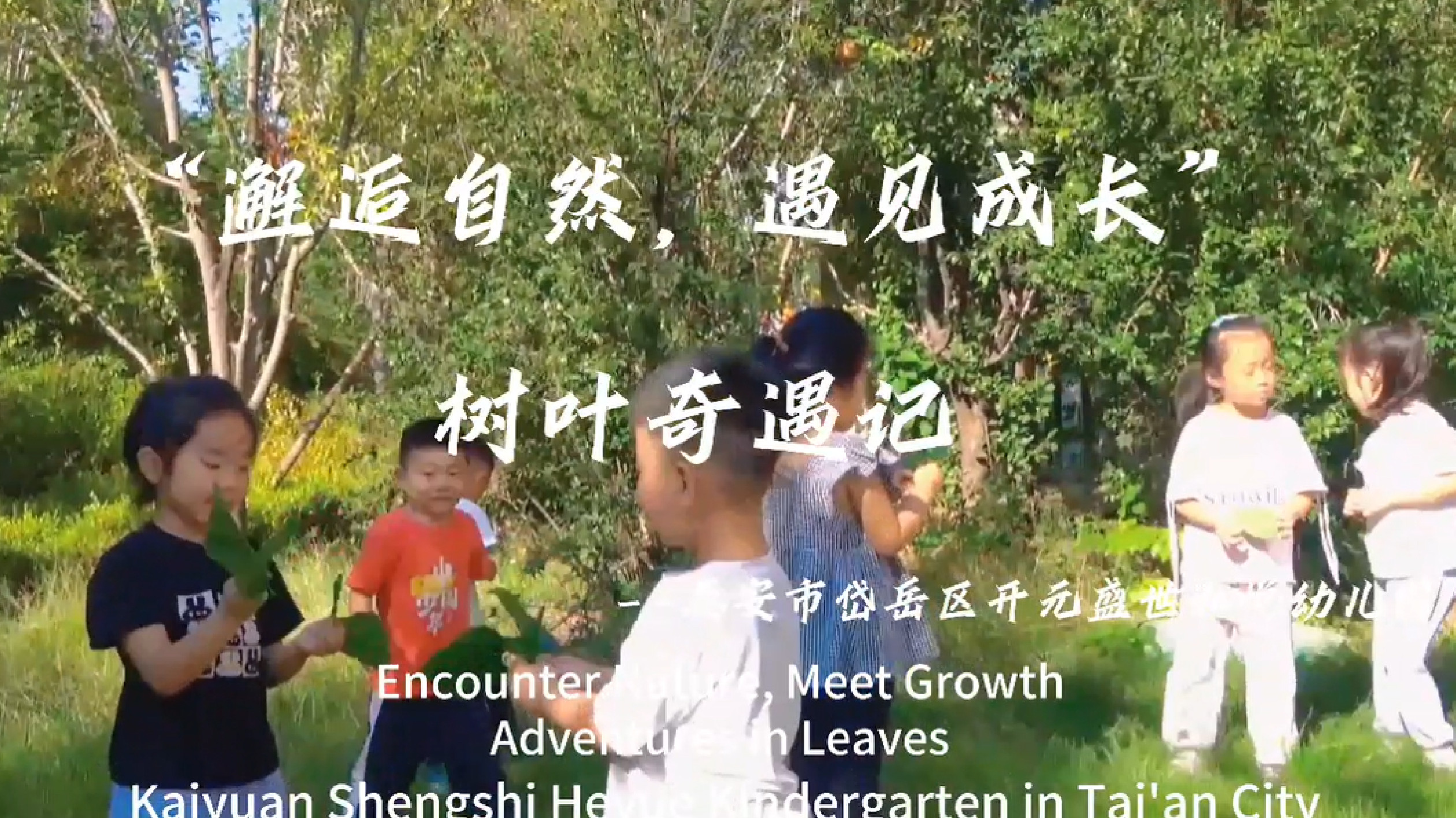 【視聽山東】「邂逅自然，遇見成長(zhǎng)」樹葉奇遇記