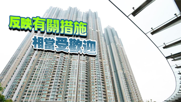 羅淑佩：截至6日稅務局收到230宗置業(yè)印花稅「先免後徵」申請