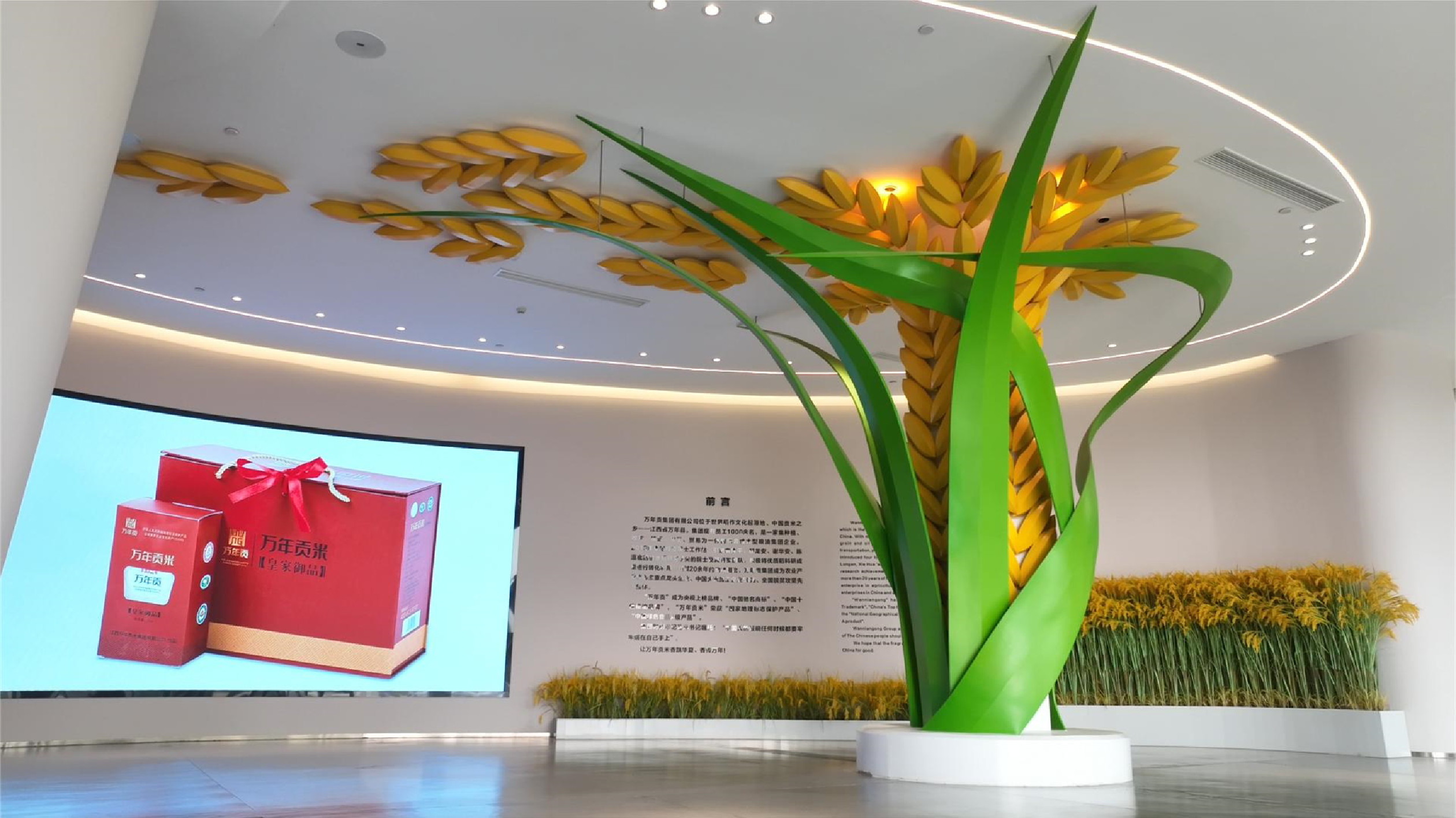 「一粒米」何以「?jìng)鳌谷f年——萬年貢米產(chǎn)業(yè)的發(fā)展之路