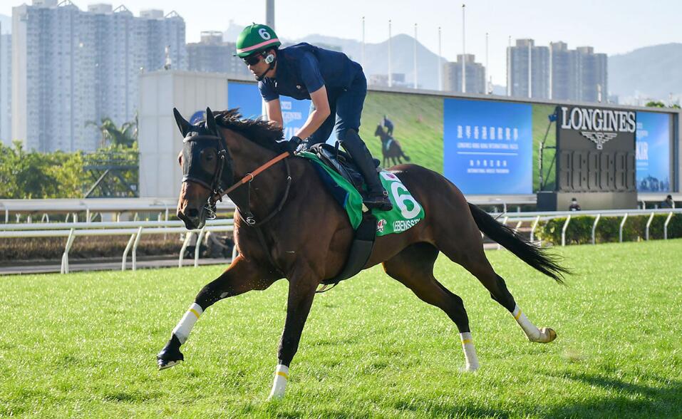 4場(chǎng)國(guó)際一級(jí)賽周日沙田馬場(chǎng)矚目上演