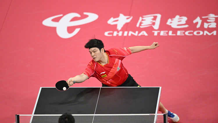 祝賀！混團(tuán)世界盃國乒奪冠