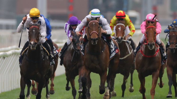 有片｜金鎗六十3奪香港一哩錦標(biāo) 何澤堯:幕後團隊功不可沒