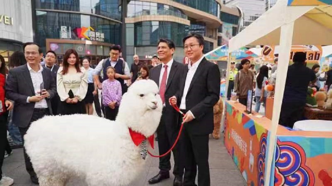 2023東莞—拉美經(jīng)貿(mào)文化合作交流節(jié)在莞舉行