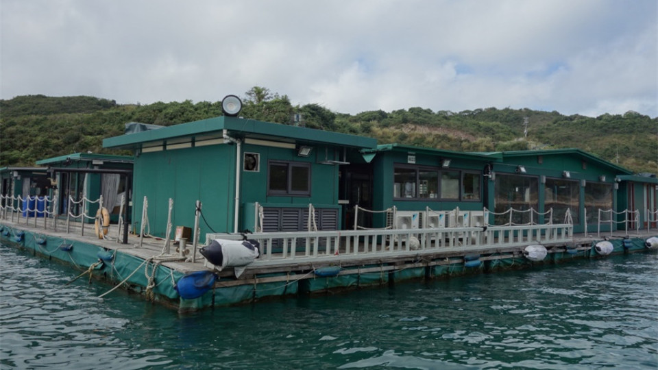 漁護(hù)署：新增四魚(yú)類(lèi)養(yǎng)殖區(qū) 黃竹角海大鵬灣13日啓用