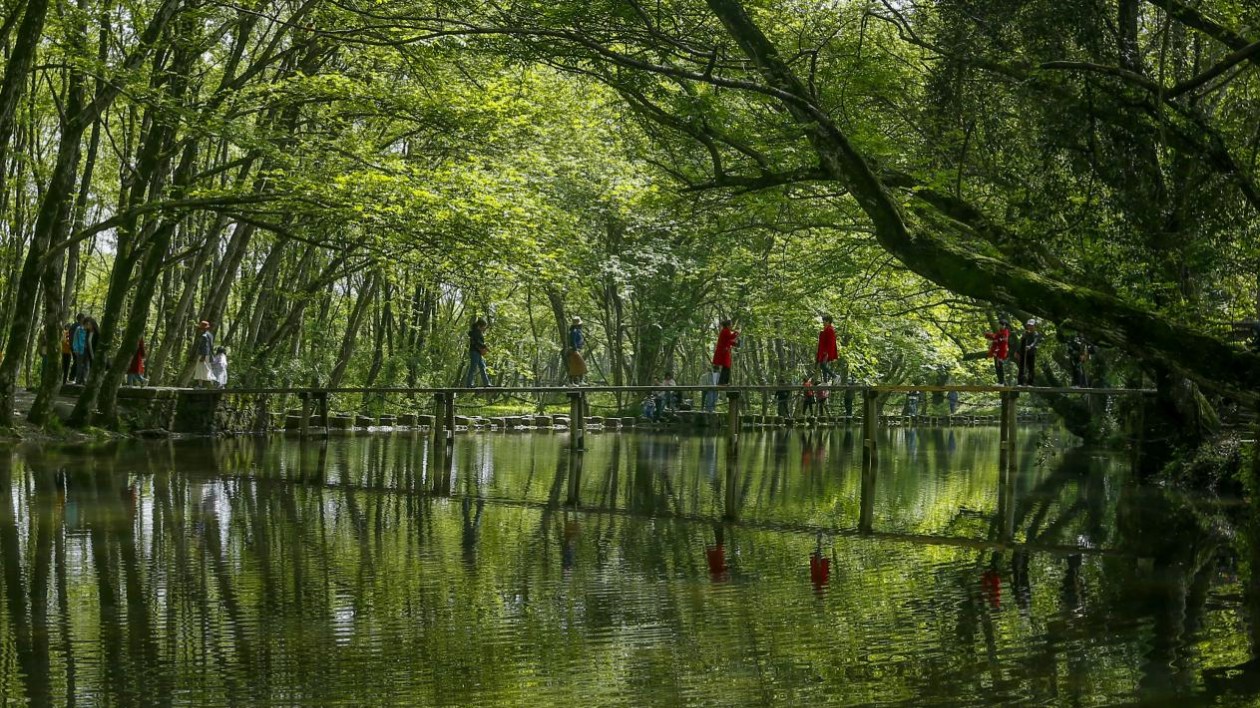 皖徽州區(qū)：打響「煙雨徽州 詩意田園」全域旅遊IP