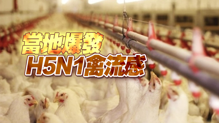 本港暫停進(jìn)口丹麥霍爾拜克自治市禽肉及禽類產(chǎn)品