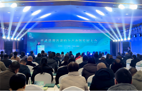 「天府森林糧庫(kù)」 四川平武道地中藥材產(chǎn)業(yè)集群持續(xù)壯大