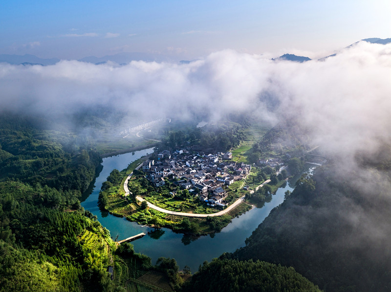 「萬里茶道」申遺提速 祁紅產(chǎn)業(yè)「祁」跡頻現(xiàn)