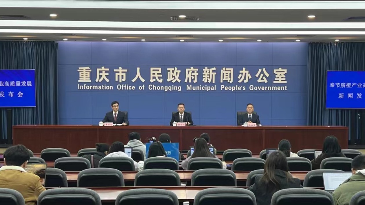 「中華名果」奉節(jié)臍橙繪重慶農(nóng)業(yè)「豐」景