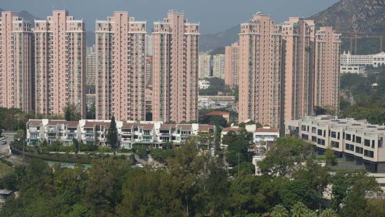 測量師：蟠龍半島僭建範圍大及複雜 促政府加強檢控及罰則