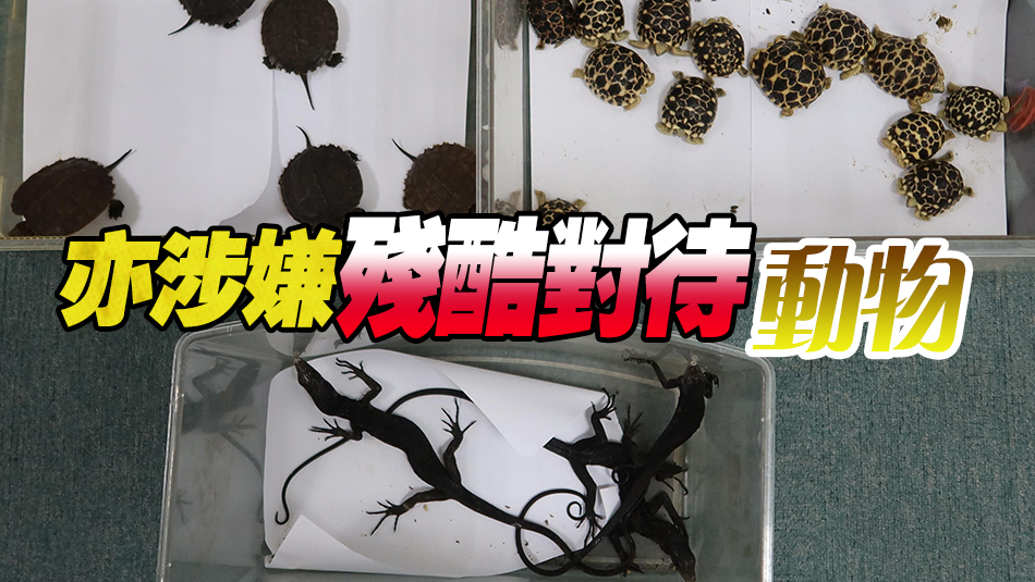 男子走私瀕危物種 被判監(jiān)禁30個(gè)月 