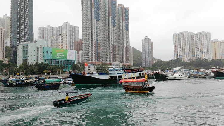 漁護署下月起將為漁民狗隻注射狂犬病疫苗、植入晶片及續(xù)領牌照