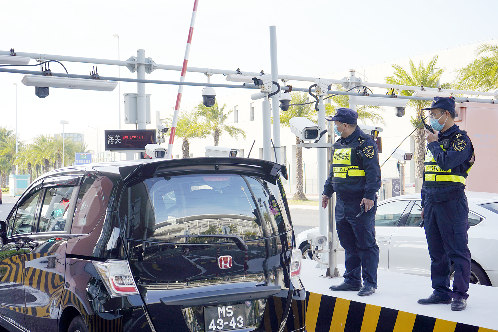 港澳單牌車過半！港珠澳大橋2023年客車通車量超268萬輛次