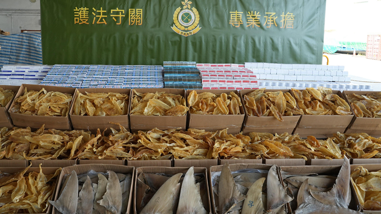 海關(guān)葵涌偵破以遠(yuǎn)洋船走私貨物案 檢值600萬(wàn)花膠魚翅等