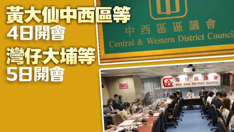 多區(qū)區(qū)議會本周召開首次會議 討論籌辦推動地區(qū)經(jīng)濟發(fā)展及設置「打卡」地標等