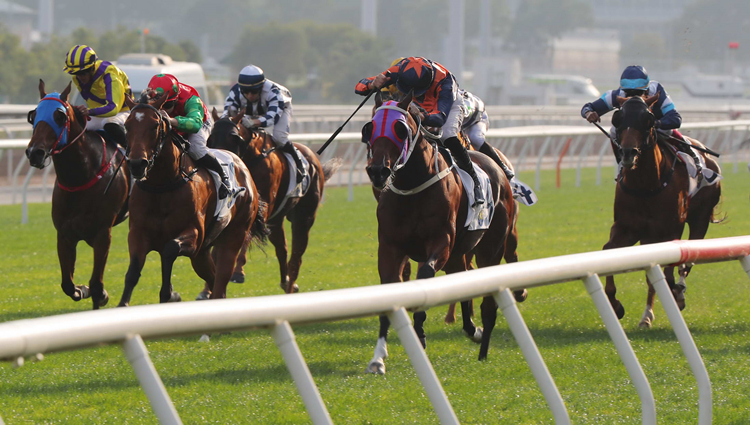 有片 | 告東尼大讚班德禮發(fā)揮  狀元及第爆冷捧走洋紫荊短途錦標