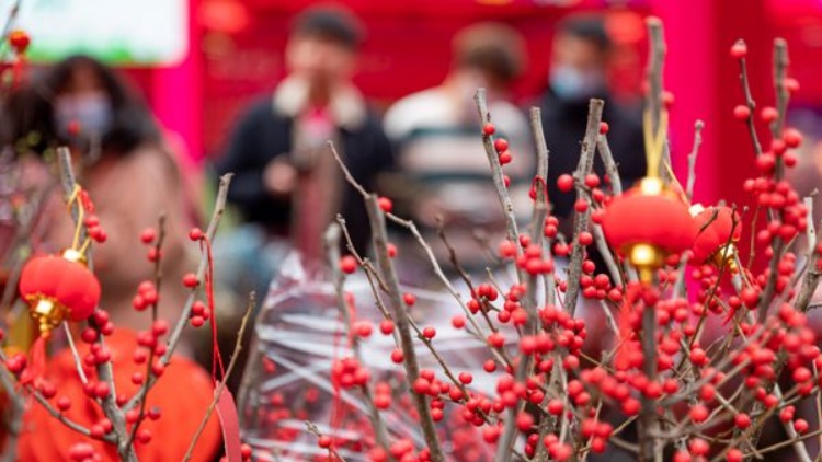 深圳愛(ài)國(guó)路迎春花市2月3日開(kāi)市 相關(guān)路段交通將臨時(shí)調(diào)整