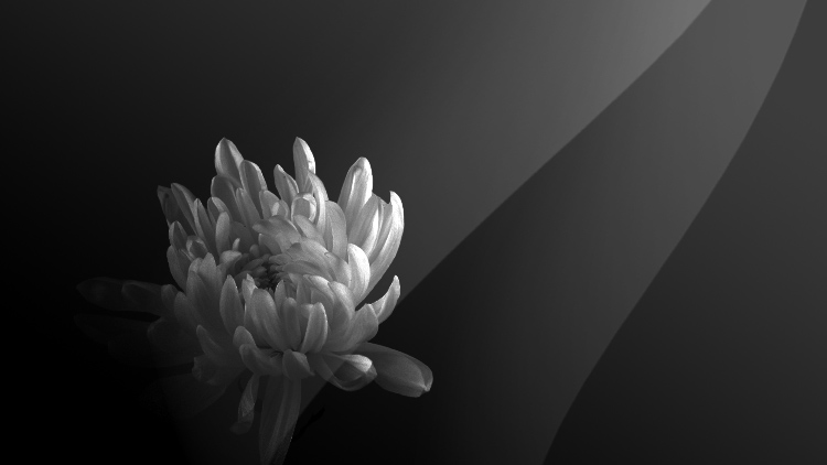 鄧炳強(qiáng)：對(duì)消防員離世深感難過(guò) 向其家人致以深切慰問(wèn)