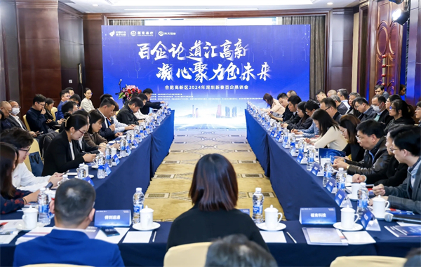 合肥高新區(qū)新春百企懇談會在深圳舉行