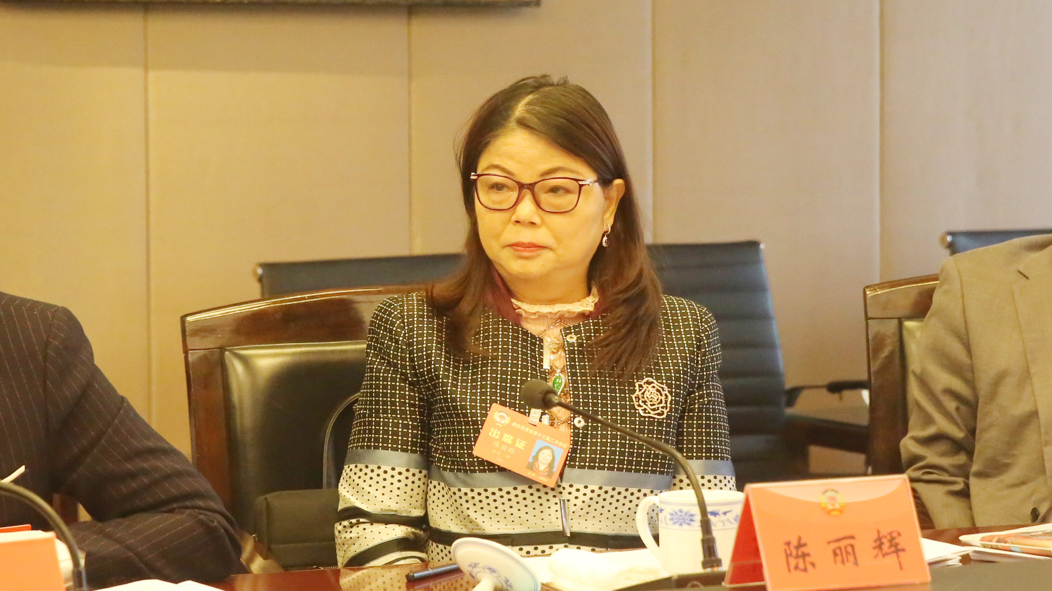 甘肅兩會(huì)丨陳麗輝委員：在蘭州新區(qū)建設(shè)跨境電商前置倉