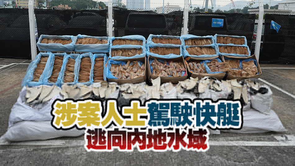 海關(guān)東涌偵破快艇走私案 檢值400萬(wàn)急凍鹿尾等走私貨物