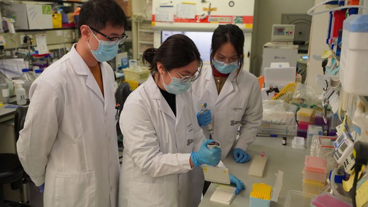 港大醫(yī)學(xué)院聯(lián)合內(nèi)地團(tuán)隊(duì)研發(fā)PD-1增強(qiáng)型DNA疫苗 成功抑制愛滋病病毒