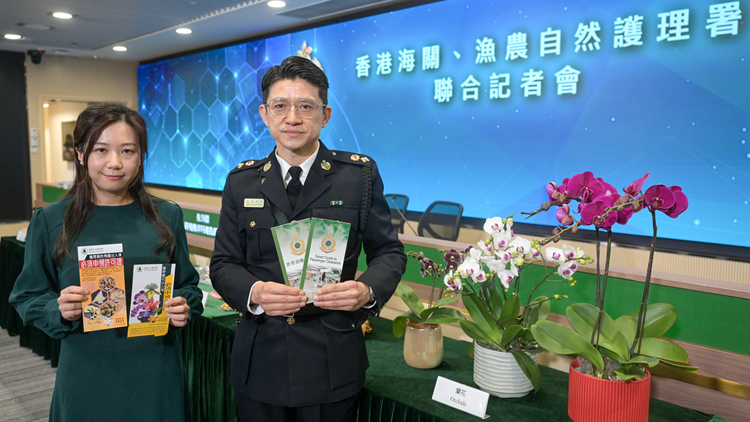 港人鐘意北上辦年貨 海關(guān)提醒勿誤帶違禁品及受管制物品入境