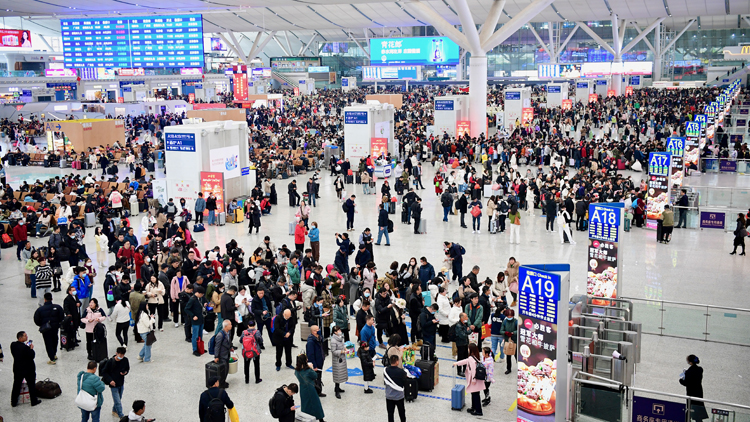 最新！深圳北站13趟列車停運(yùn) 涉武漢、鄭州等方向