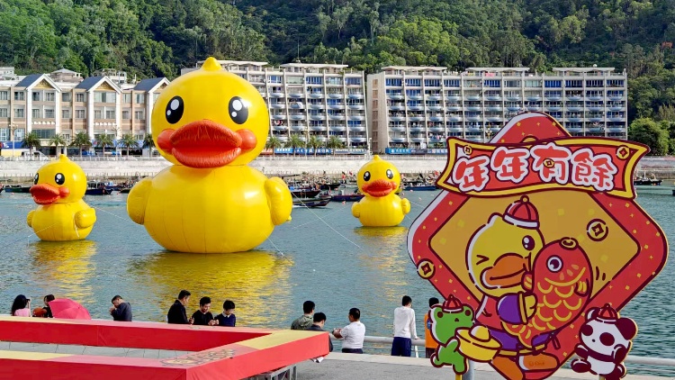 又萌又好拍！B.Duck小黃鴨在深圳大鵬南澳陪你過大年