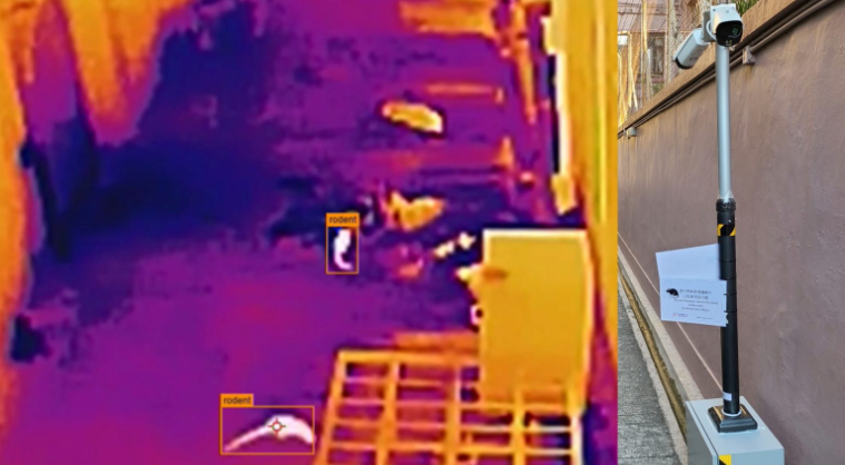 食環(huán)署：AI偵測(cè)老鼠活動(dòng)成本高但成效佳 1月3區(qū)率先試行