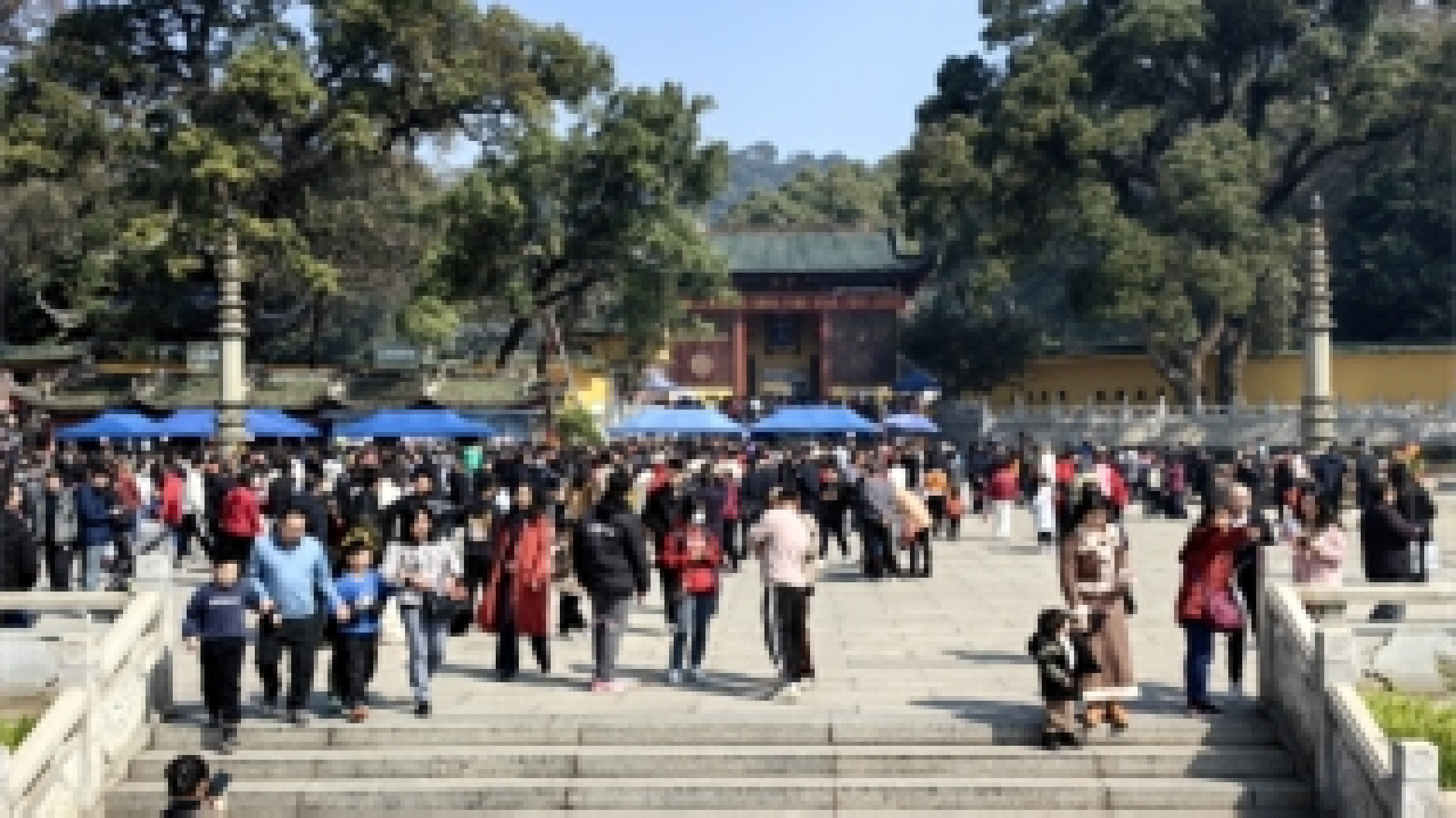 韶關(guān)曲江春節(jié)文旅市場創(chuàng)新高 旅遊收入同比增長394.15%