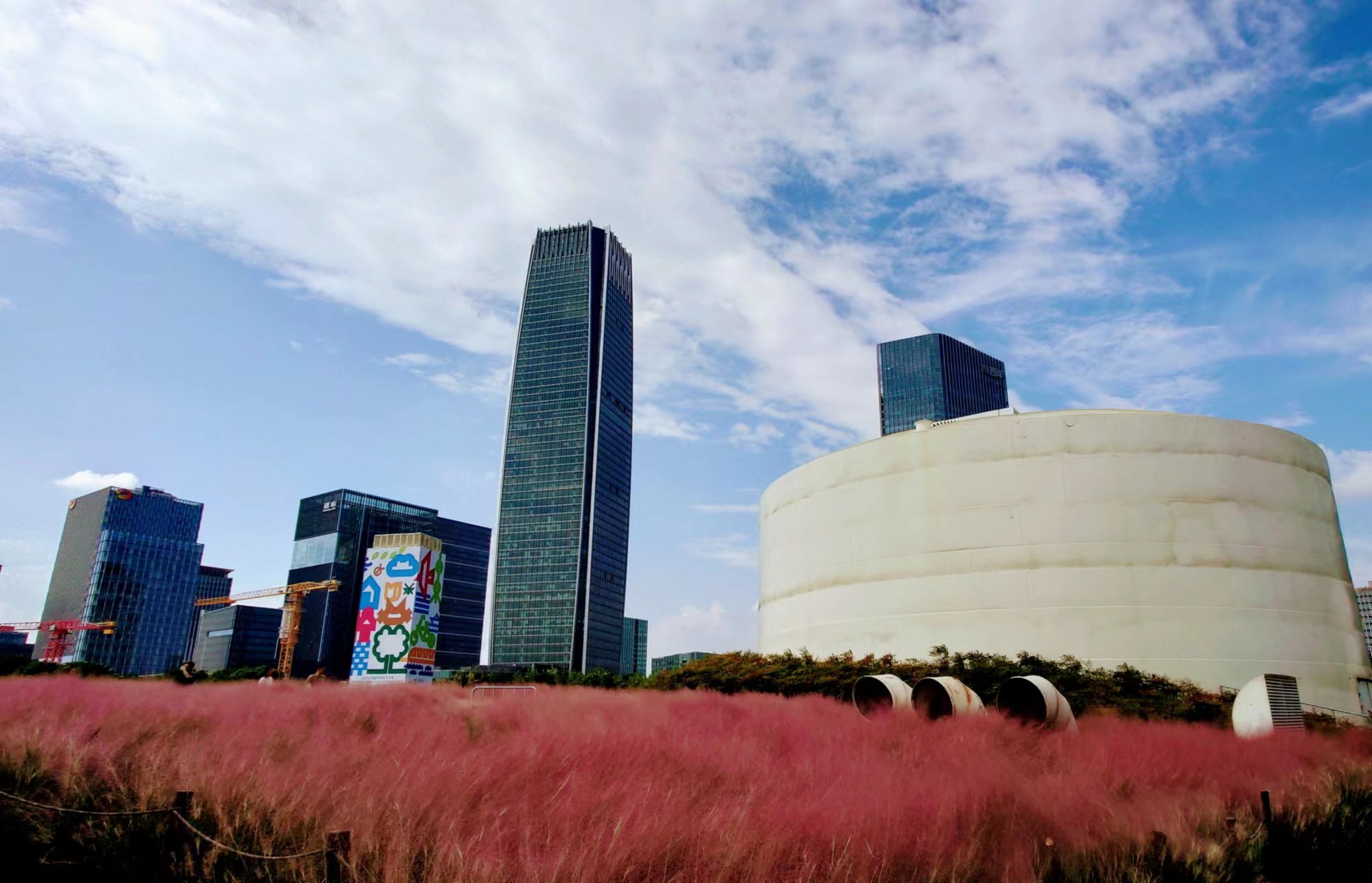 【魔都微評】出了事誰負(fù)責(zé)？