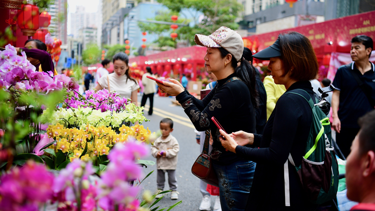 8天938萬人次！春節(jié)期間赴深人數(shù)同比增長79%