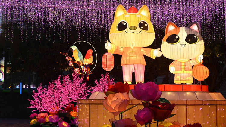 香港文化中心等三地今日起至周六舉辦元宵綵燈會(huì)