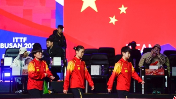 祝賀！國乒女隊(duì)釜山世乒賽女團(tuán)冠軍