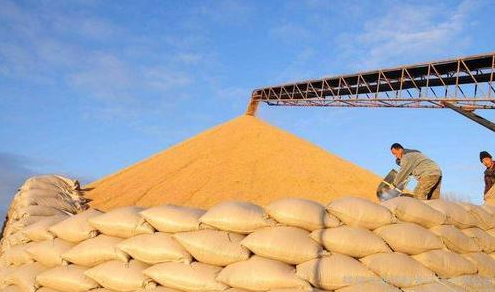 國(guó)家糧食和物資儲(chǔ)備局：中國(guó)糧食市場(chǎng)供應(yīng)充足