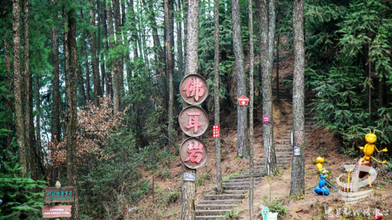 【康養(yǎng)中國】忠縣大嶺佛耳巖成為重慶市第二批森林康養(yǎng)基地