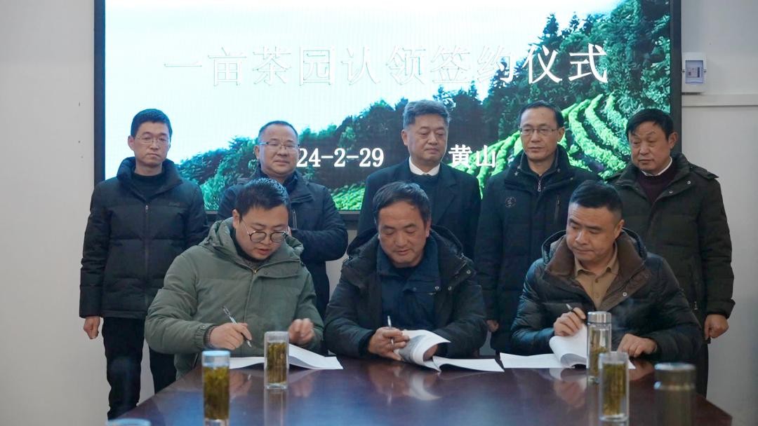 皖黃山區(qū)：認(rèn)養(yǎng)「一畝茶園」  添彩名茶之鄉(xiāng)