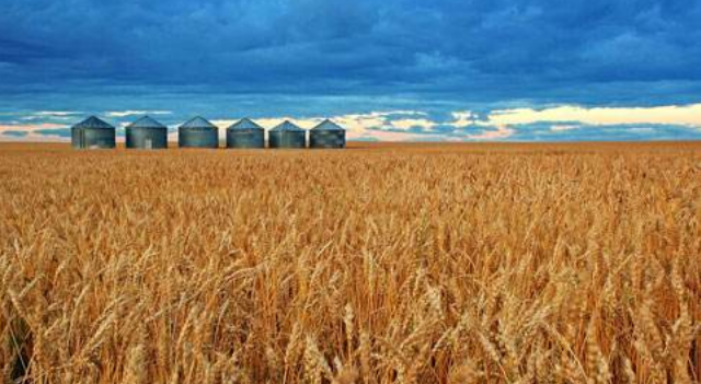 多地政協(xié)主席聯(lián)名提案：健全糧食主產(chǎn)區(qū)利益補償機制