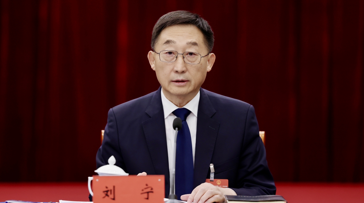 全國人大代表劉寧：廣西持續(xù)擴大對內(nèi)對外開放打造好「兩地」