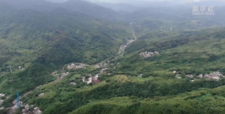 有片 | 看今日之嶺南，更加鬱鬱蔥蔥 「綠美廣東」踐行「兩山」理念新路徑