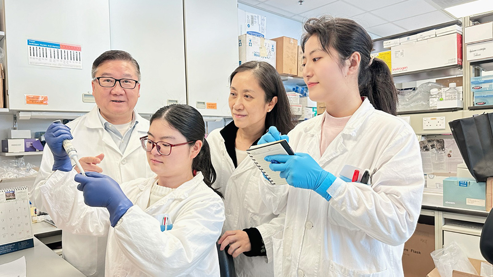 癌癥治療新突破：港大醫(yī)學院研製雙重抗腫瘤疫苗