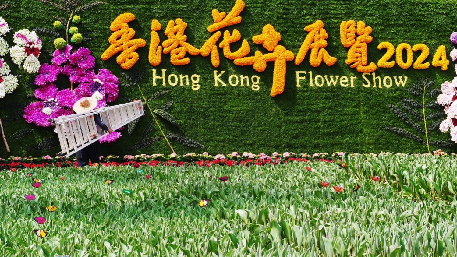 2024花卉展今起開(kāi)幕 楊潤(rùn)雄：展區(qū)設(shè)計(jì)匠心獨(dú)運(yùn) 願(yuàn)花展碩果盈枝