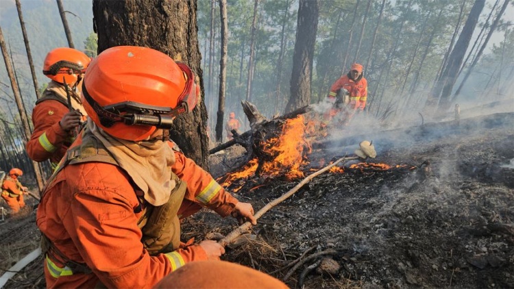 追蹤報道丨四川雅江森林火災(zāi)1號火場明火被撲滅