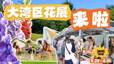 有片 | 粵港澳大灣區(qū)花展來啦！賞花攻略請收好→