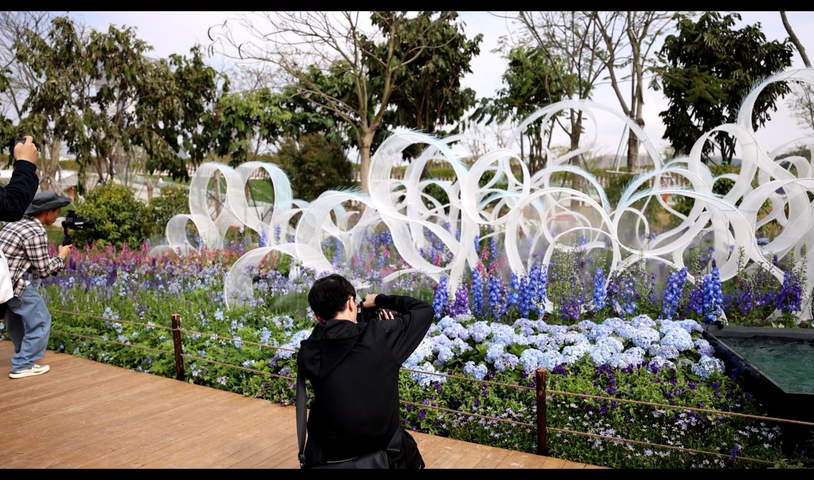 綠美灣區(qū)，詩意繁花丨2024粵港澳大灣區(qū)花展啟幕