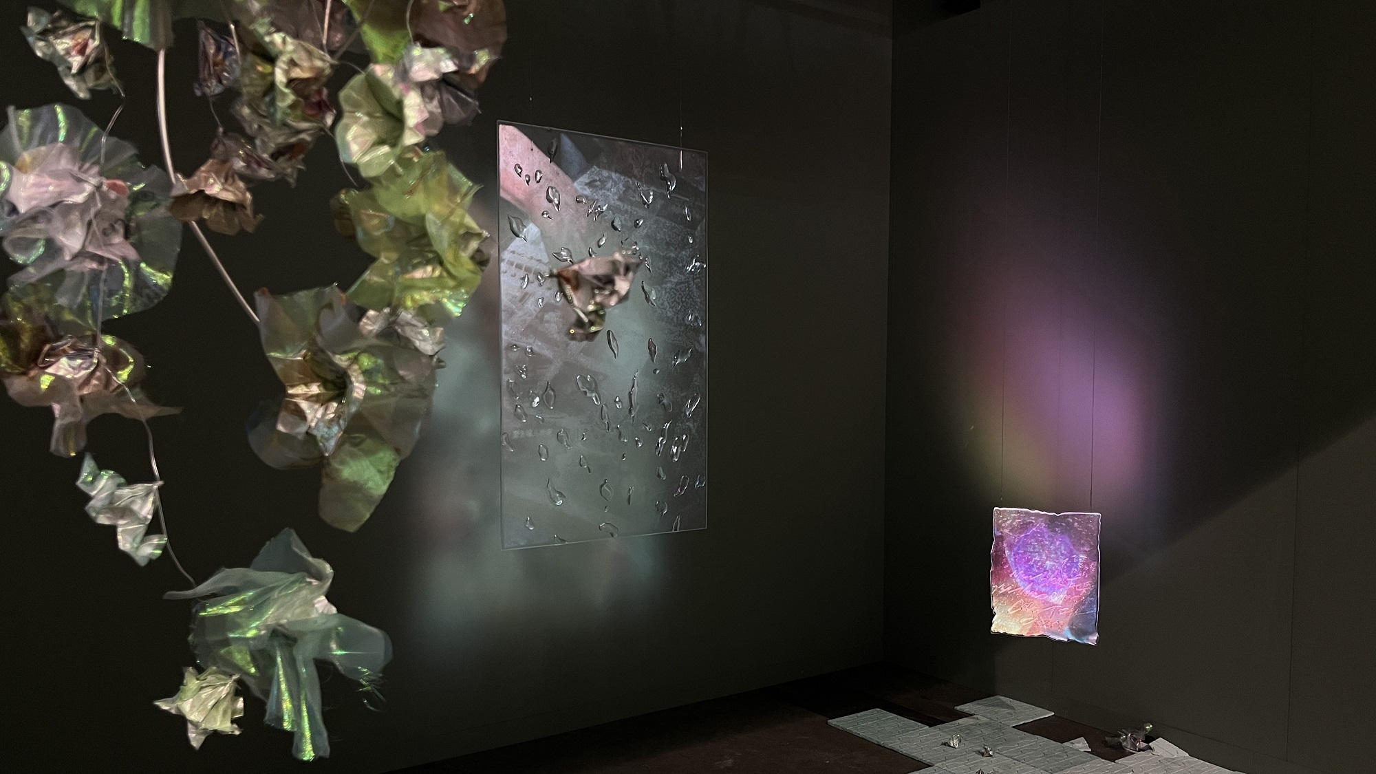 有片|【展覽】Art Basel深圳畫廊 聚焦歸國華僑情懷