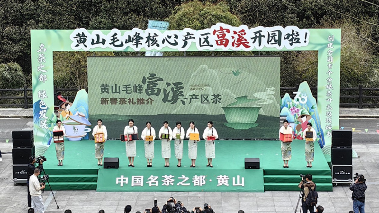 黃山毛峰茶文化節(jié)暨安徽春茶直播節(jié)徽州啟幕